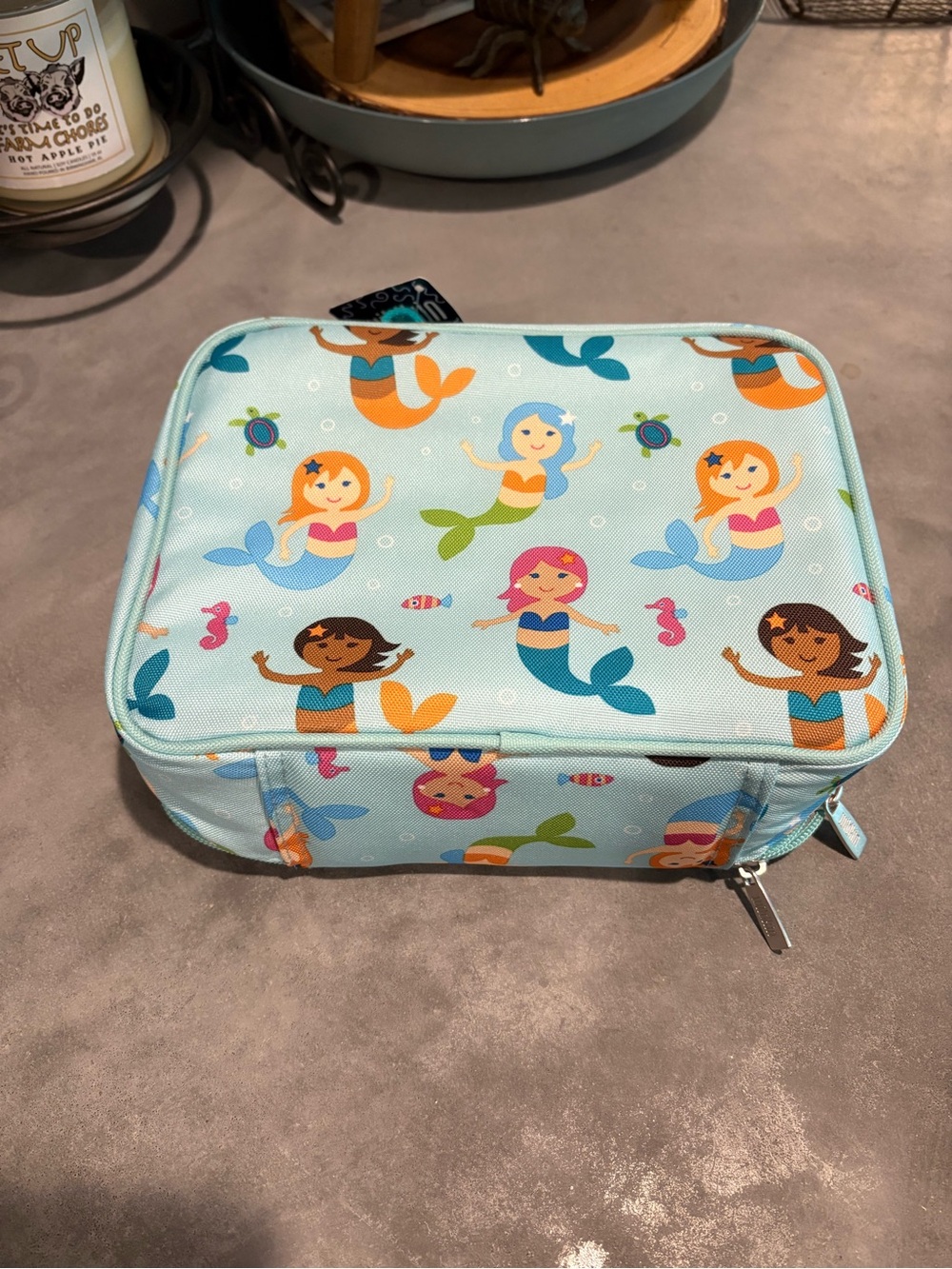 New Mermaid Lunchbox or Makeup Bag